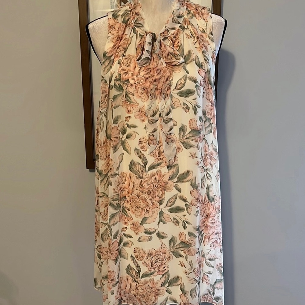 NWT Molly Bracken Dress